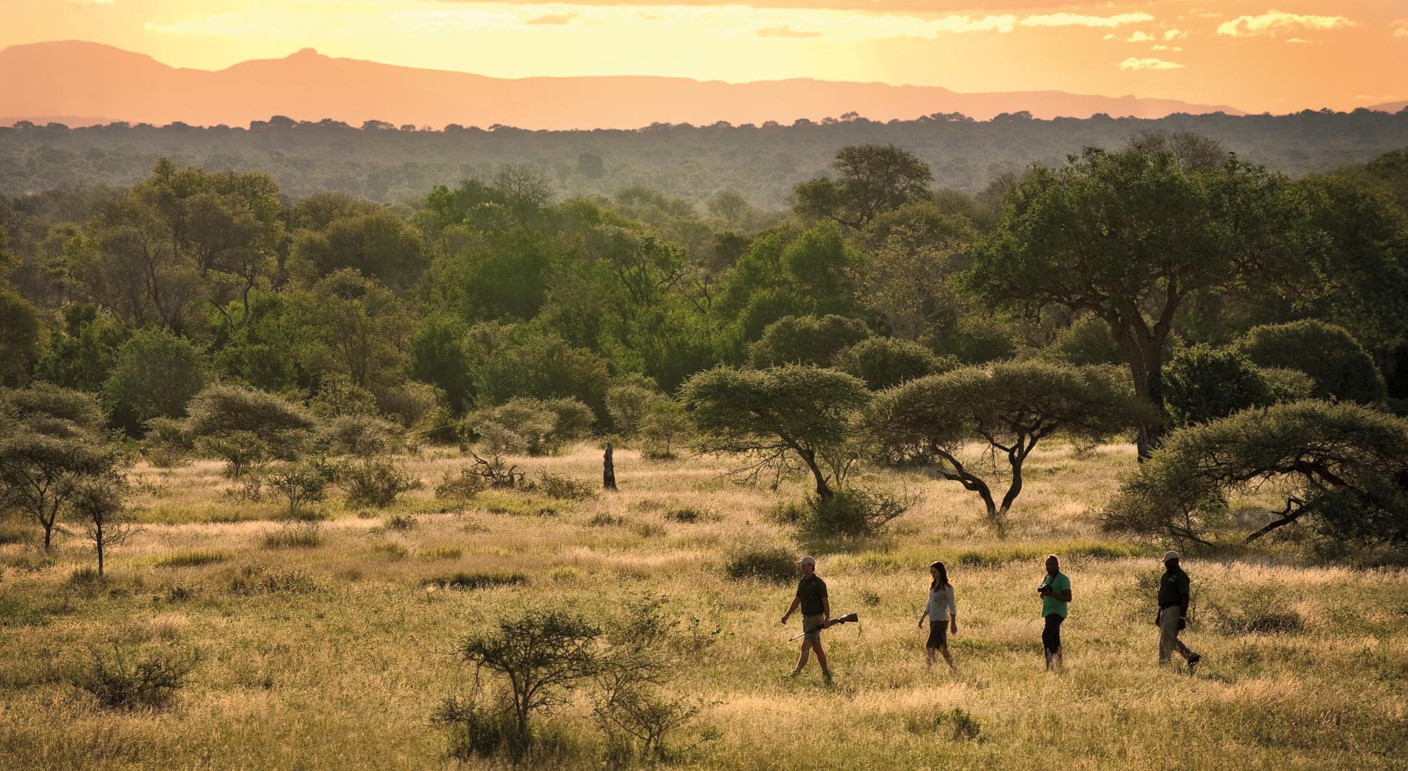 Lion Sands Tinga Lodge Skukuza Exterior foto